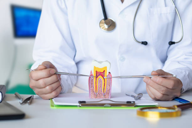 Best Pediatric Emergency Dentist in Nappanee, IN
